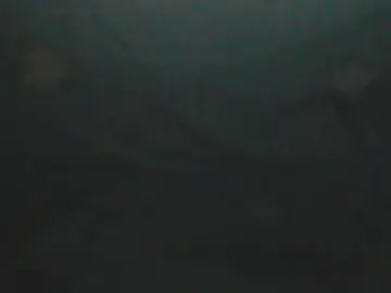Cam4 Free Live Porn of maddie31