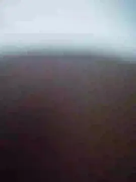 Cam4 Free Live Porn of WineBee