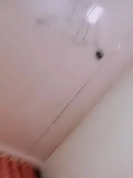 Cam4 Live Sex Cam of Lindafox99