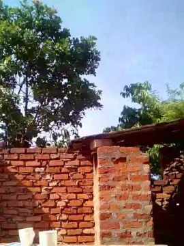 Cam4 Best Webcam of Faithful3