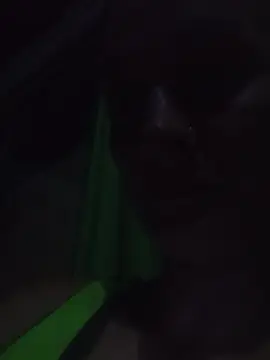 Cam4 Adult Webcams of eliza181