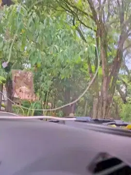 Cam4 Live Sex of Tania__honey