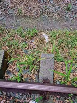 Cam4 Adult Webcams of Tania__honey