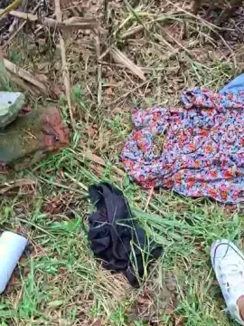 Cam4 Live Sex of Tania__honey