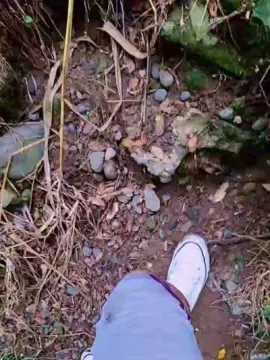 Cam4 Free Porn Cam of Tania__honey