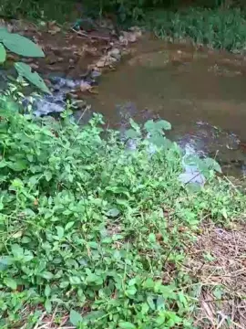 Cam4 Adult Webcams of Tania__honey