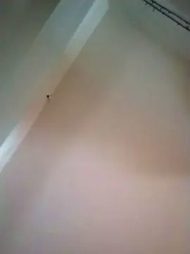 Cam4 Sex Chat of nikita3sexy