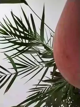 Cam4 Adult Webcam of Asiancat83