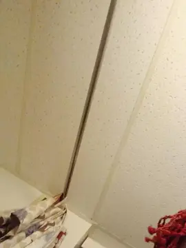 Cam4 Nude Webcam of Babygirlredd