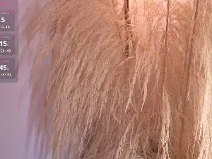Cam4 Free Live Porn of Elecktra_sweet