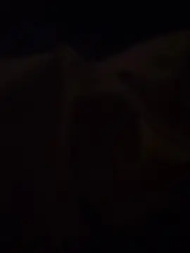 Cam4 Live Sex Cam of petacaconjugo