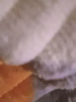 Cam4 Watch Live Sex Cams of Abril1826