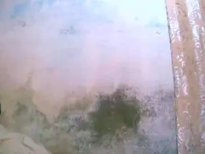Cam4 Adult Webcam of Cathi