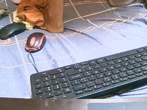 Cam4 Sex Cam of Katrinah