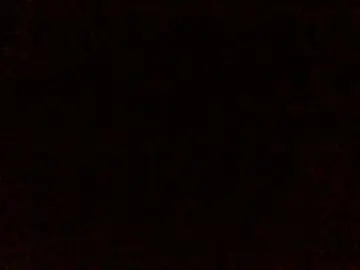 Cam4 Adult Webcams of Javierapalacios