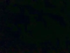 Cam4 Live Sex Cam of Javierapalacios