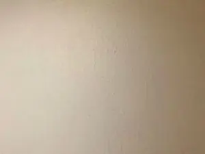 Cam4 Best live sex cam show of Javierapalacios