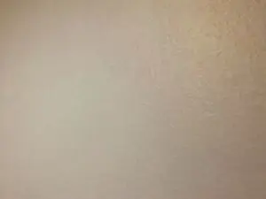 Cam4 Best Webcam of Javierapalacios