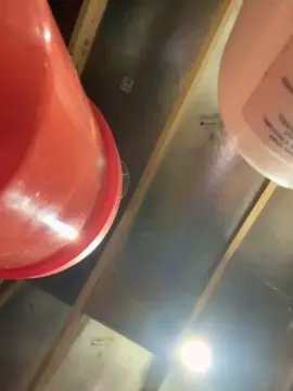 Cam4 Live Sex Cam of babybliss1991