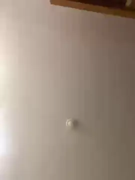 Cam4 Free Porn Cam of Oncinhabraba