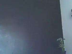 Cam4 Best live sex cam show of mistressmiley1