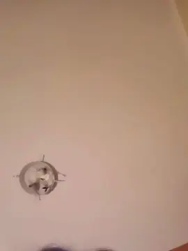 Cam4 Private Sex Chat of aliciaA666