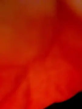 Cam4 Private Sex Chat of bvbyscorpio666
