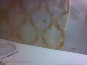 Cam4 Adult Webcams of enhot1