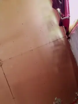 Cam4 Adult Webcam of Ikia24