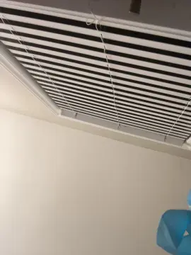 Cam4 Live Sex Cam of Braylon843