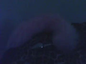 Cam4 Sex Cam of Crystal9898