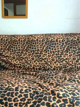 Cam4 Adult Video Chat of Obsidian