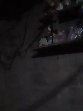 Cam4 Best Webcam of Colo06