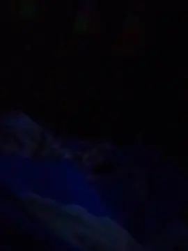 Cam4 Live Sex of burn666ing