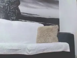 Cam4 Best Webcam of alishaboobs