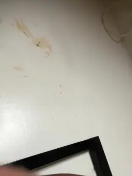 Cam4 Sex Cam of BigTitAssShaker