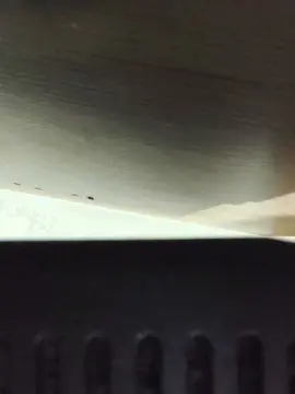 Cam4 Free Porn Cam of Desejoprivadoa2