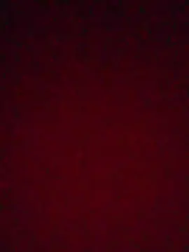 Cam4 Nude Webcam of Evelynsexy1