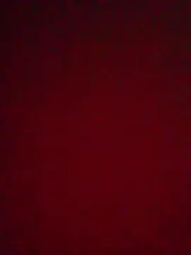 Cam4 Live Sex of Evelynsexy1