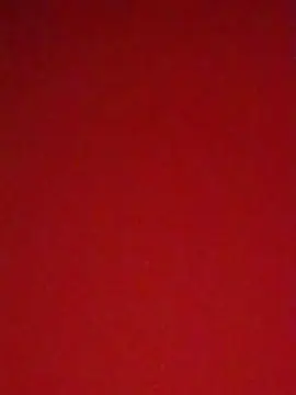 Cam4 Adult Video Chat of Camilitaa3