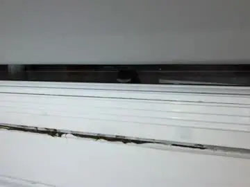 Chaturbate Adult Webcam of scouse_lexi