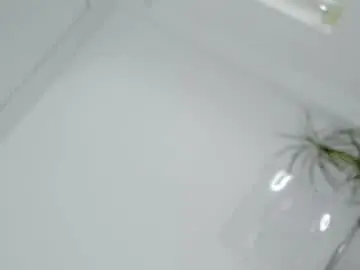 Chaturbate Sex Chat of diamondkay_