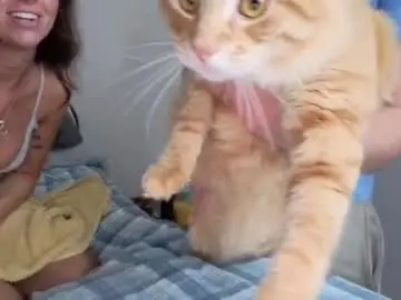 Chaturbate Nude Webcam of kaygraciee