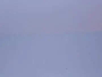 Chaturbate Live Sex of oliviabrady1