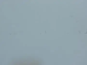 Chaturbate Watch Live Sex Cams of cristal_crossfit