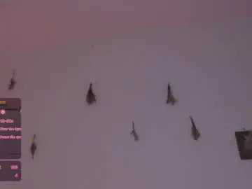 Chaturbate Live Sex Cam of meliss1