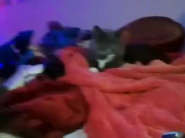 Chaturbate Adult Video Chat of siofra