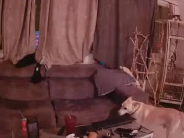 Chaturbate Free Porn Cam of eldad3371