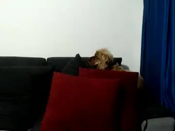 Chaturbate Adult Webcams of evilheart_69