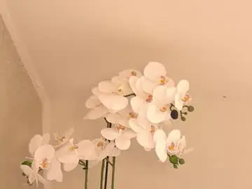 Chaturbate Sex Chat of cassiemiles